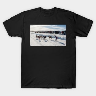 It's a Race! It's a Race! T-Shirt